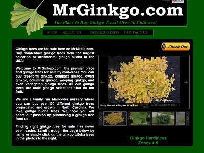 Check out the all-new MrGinkgo.com Check out the all-new MrGinkgo.com